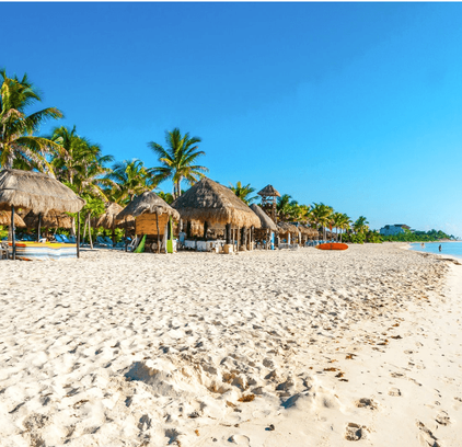 Cancun Green investement Eco terra